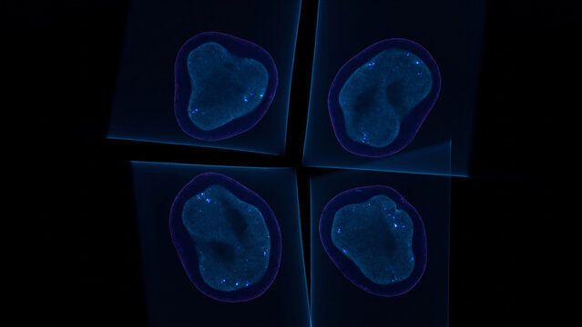 青く発光する4つの副甲状腺カプセルが暗視野に並ぶ医療科学の抽象CG背景