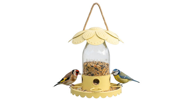 Yellow bird feeder with birds isolated on transparent background