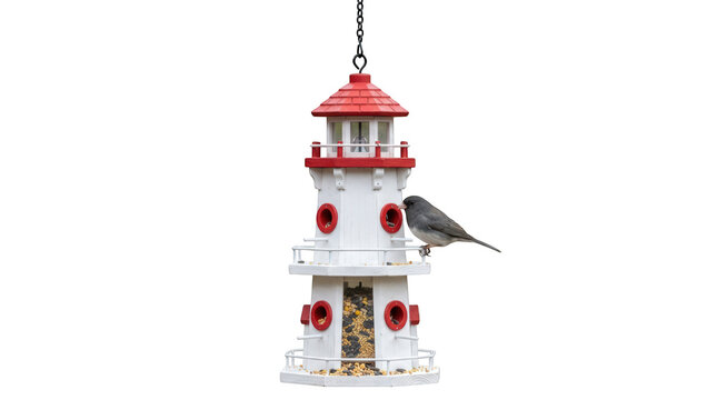 Darkeyed junco bird perched on a lighthouse bird feeder isolated on transparent background