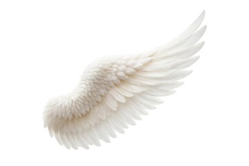 Fototapeta premium Elegant white angel wing on a clean background.