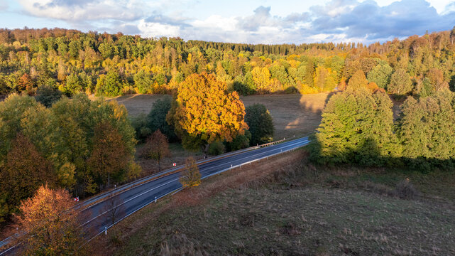 Landstra&szlig;e im Herbstkleid.DNG