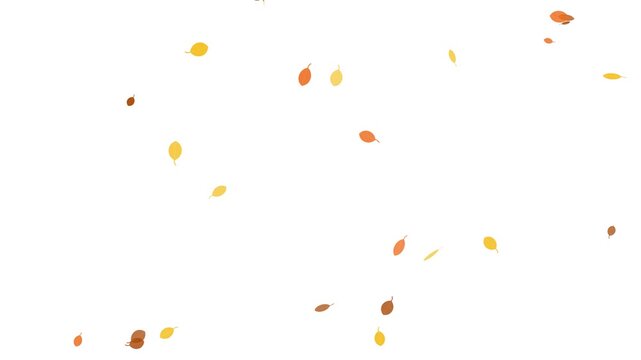 Minimalist Falling Autumn Leaves Isolated on White Background