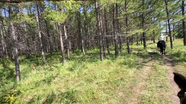 woman walking in the woods