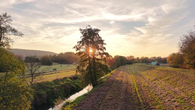 Golden sunset shining through a lone tree beside a winding stream and freshly cultivated fields in a peaceful rural landscape. Sunlight shining through dense green trees. Sun rays filter through branc