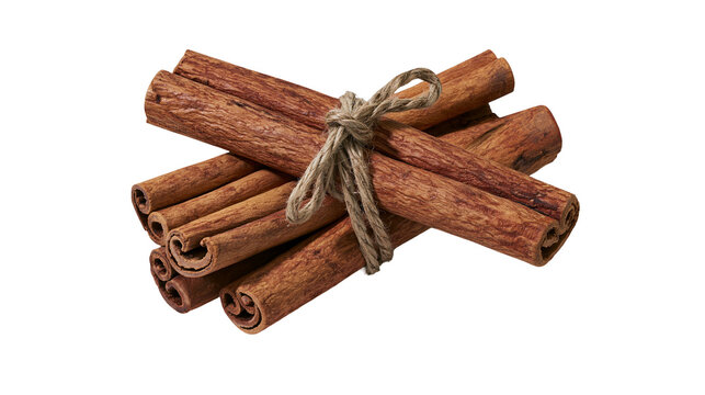 Bundle of aromatic cinnamon sticks tied with rustic twine