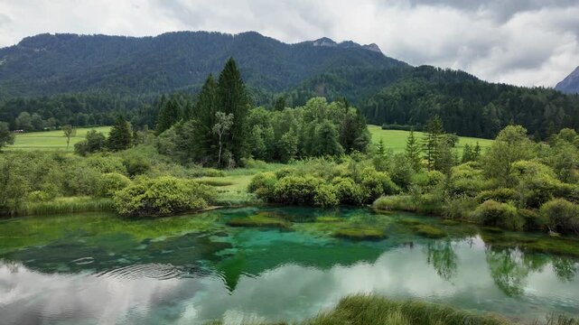 Idyllic view at the Zelenci Springs, nature reserve near the town of Kranjska Gora, Slovenia.
