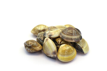 Closed up fresh baby clams. venus shell. shellfish. carpet clams. short necked clams. as raw food from the sea are the seafood ingredients. fresh clams isolated on white background © Pisan