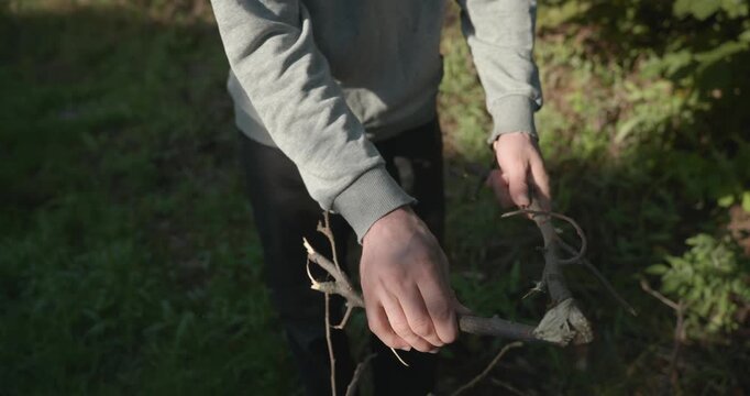 Close-up male hands break twigs, chop branches for firewood. 4K 10-b