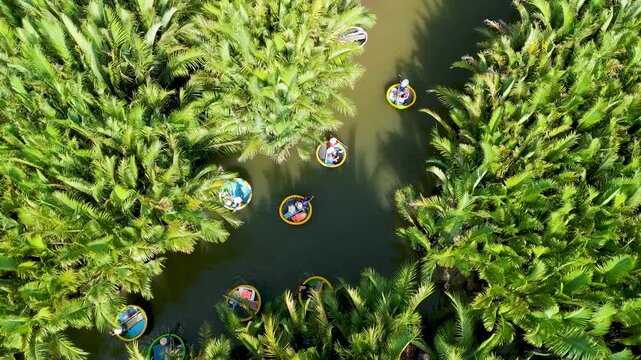 Breathtaking aerial view captures colorful basket boats navigating through the vibrant nipa palm jungle in the peaceful countryside of Hoi An, Vietnam
