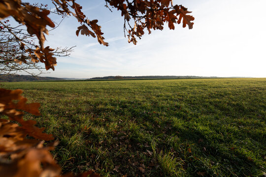 herbstliche Weite &uuml;ber ein Feld
