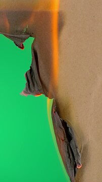 Burning paper. Green screen. Coarse cardboard burns and chars. Green screen.