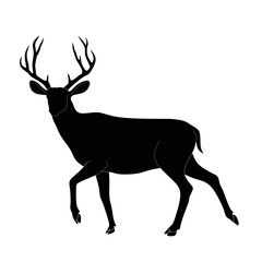 Deer silhouette design vector,deer buck silhouette image, silhouette deer buck image, silhouette reindeer icon vector,deer buck on black image,black antler design vector, antler design on black icon © Hari