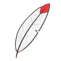 vector illustration of feather © rndvs