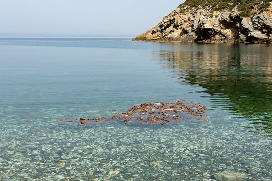 Discarded fishing nets in clear water at Tsoukalia beach, Alonissos