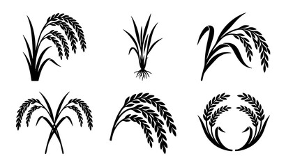 Naklejka premium Rice Plant Silhouette Vector Collection with Grain Stalks and Botanical Icons