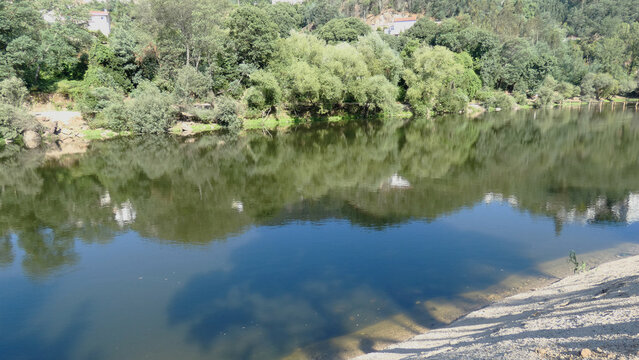 Lush riverside trees mirrored in calm blue water in summer