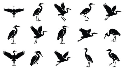 Fototapeta premium Collection of black heron bird silhouettes standing and flying isolated on plain white background vector 