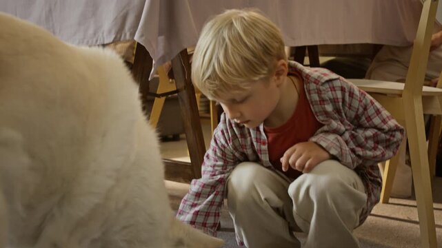 Tilt down view of Caucasian boy secretly taking food from family dinner table and feeding pet dog on floor. Footage suitable for pet food advertising and family lifestyle storytelling