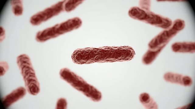 Mycobacterium leprae bacteria with stable slender rod-shaped morphology slowly moving through a clean biological environment