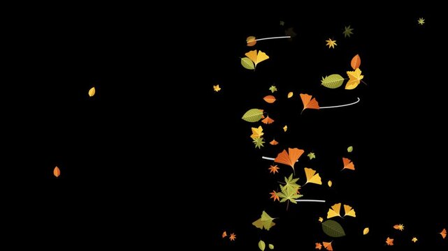 Animated graphic colorful autumn leaves swirling counter clockwise in a dynamic loop motion with alpha channel