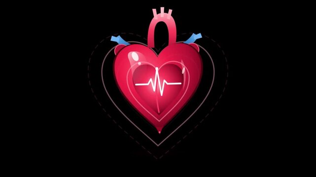 Stylized beating heart animation with an ECG pulse line and anatomical details like aorta and veins on a dark black background, representing cardiovascular health, love, and medical technology.