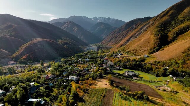 Aerial view panorama of yellow autumn forest in the mountains