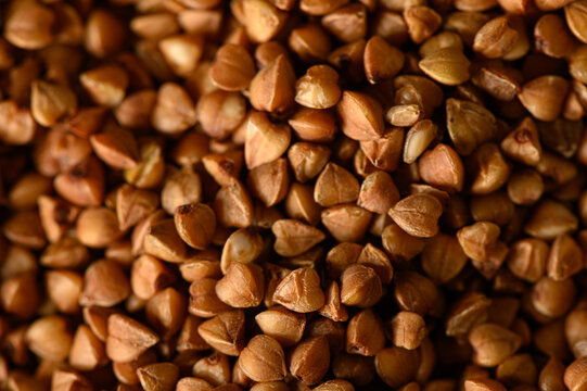 Organic buckwheat grains background texture pattern