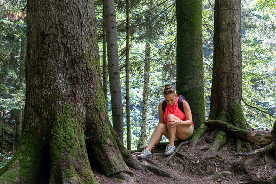 Female hiker sitting on tree roots and holding painful knee during rest on forest trail to Maniava Waterfall, Carpathians, Ukraine. Active woman