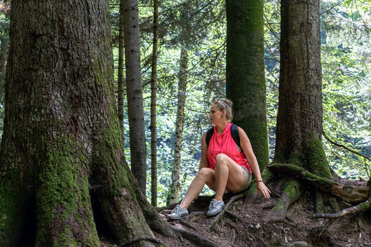 Woman hiker taking break and sitting on tree roots in forest on trail to Maniava Waterfall, Carpathians, Ukraine. Active female tourist resting