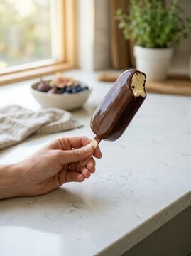 Chocolate Covered Ice Cream Bars