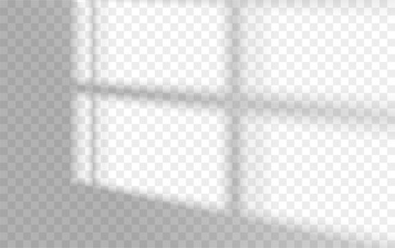 Sunlight casting window shadows on transparent background