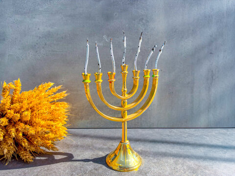 Menorah on a gray background. A golden Hanukkah candlestick with extinguished candles and a bouquet of dry ears of wheat on a gray surface near the wall, close-up.
