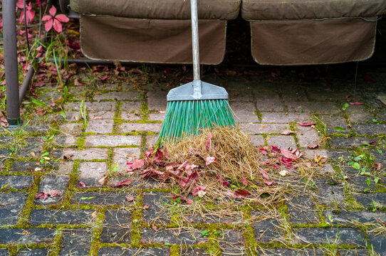sweeping pine needles and leaves