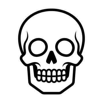Minimalist human skull with teeth isolated on white background vector line art illustration   