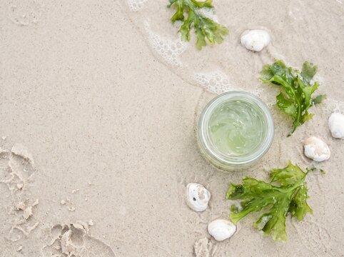 Seaweed gel jar on wet beach sand with shells, top view