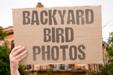 "Backyard bird photos" Hobbyists photograph garden feathered visitors. BIRDS. BACKYARD. FEEDERS. PHOTOS. HOBBY. © AndriiKoval