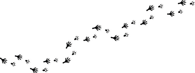 Walking Mouse Footprints Silhouette Set with Small Rodent Tracks Vector Illustration © Ascreator