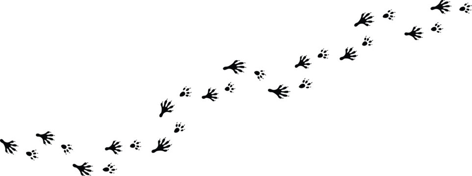 Walking Mouse Footprints Silhouette Set with Small Rodent Tracks Vector Illustration