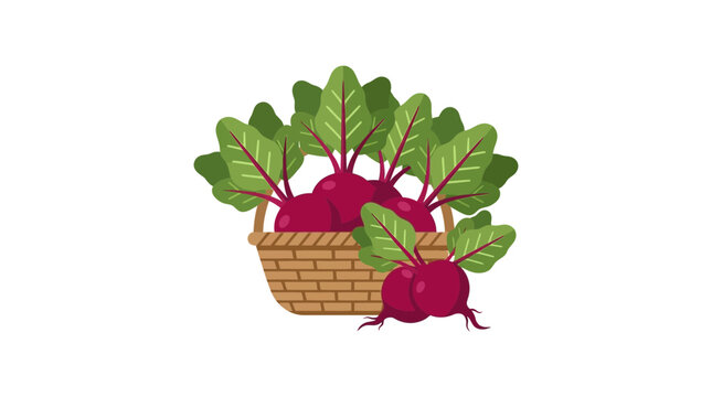 Flat vector illustration of fresh harvested organic beetroots in a wicker basket isolated on white