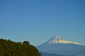 Fototapeta premium 三保の松原_富士山_静岡県静岡市清水区 