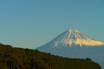 Fototapeta premium 三保の松原_富士山_静岡県静岡市清水区 