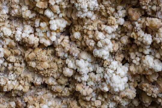 Cave popcorn coralloid speleothems on cave wall