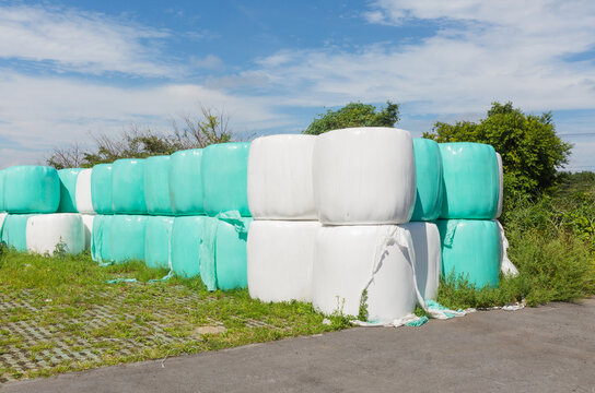 Mint and White Silage Bales Stacked Outdoors in Field