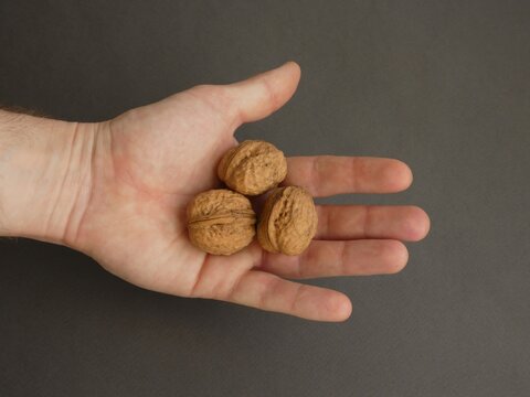 Three whole walnuts in shell on open male palm