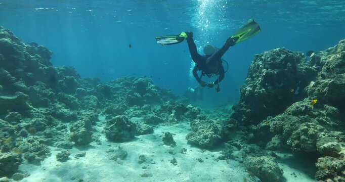 Group of divers swimming in an coral reef. Diving instructor and group students in underwater exploration. The instructor teaches the students. Scuba diving training and education.