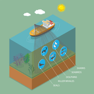 3D Isometric Flat Vector Illustration of Fishing Bycatch, Outlining Bycatch Issue In Fishing Process, Capturing Unwanted Animals
