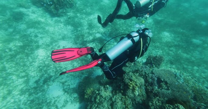 Group of scuba divers swimming between corals at coral reef. Diving instructor and group students in underwater exercise. Instructor teaches students. Underwater scuba diving education and training.
