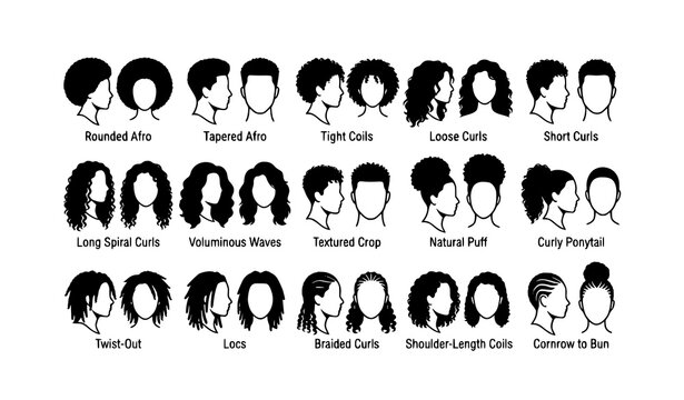 Curly Wavy and Afro Hairstyle Silhouette Collection with Natural Hair Textures for Men and Women Black White Vector Illustration
