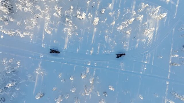 Aerial drone view of snowmobiles driving through a snowy pine forest. People riding snowmobiles on a winter trail.