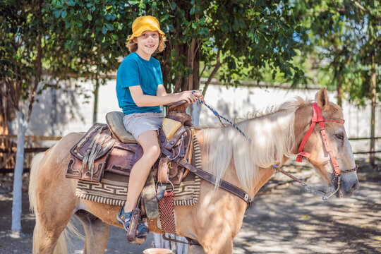 Happy boy rides a palomino horse during an outdoor family activity. Happy riding experiences and outdoor family fun.